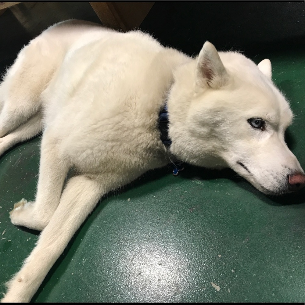 Meet your posher, Tim